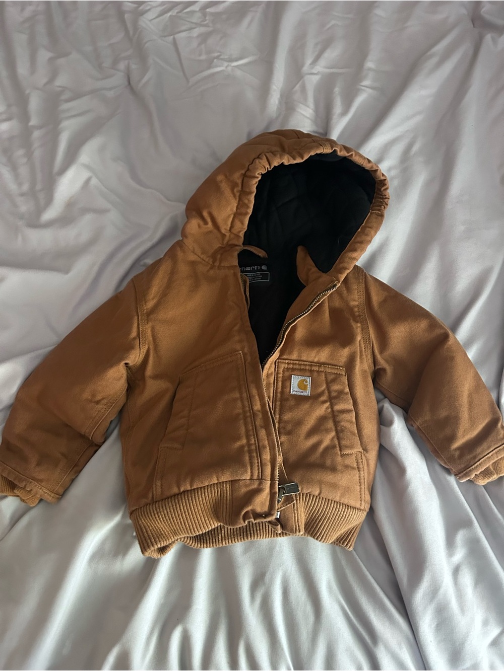 Carhartt Hooded Jacket in Carhartt Brown